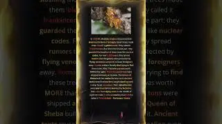 Flying Serpents Guarded Richest Secret