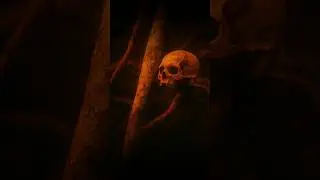 2003 Jalpaiguri Forest Skull Mystery 🧠 | Unsolved Case That Shocked Bengal! #shorts  #crime #facts