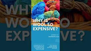 Why Is Wool So Expensive? - Here&rsquo;s Why Under 60 Seconds