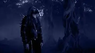 Swallowed by the dark forest