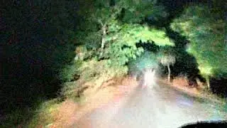 VIKRAMGADH FOREST