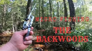 Micro Fishing a Backwoods Creek w/ Surprise catches