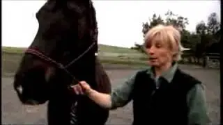 Correcting Horse Behavior with Psychology