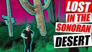 Hike Gone Wrong | Lost in The Sonoran Desert
