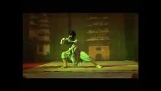 Shaolin Gong Fu in Athens 少林功赋在雅典