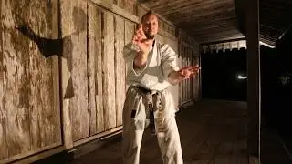 Seiryu kata Uechi ryu karate / Okinawa (Japan) castle Shui jo.