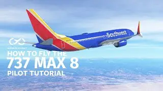 BOEING 737 8 MAX