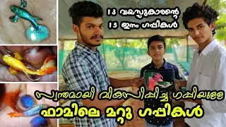 സ്വന്തമായി ഗപ്പിയെ വികസിപ്പിച്ച ഫാമിലെ 15 വെറൈറ്റി ഗപ്പികൾ | #GUPPY_VALARTHAL  |#GUPPY_FARM_VISIT |