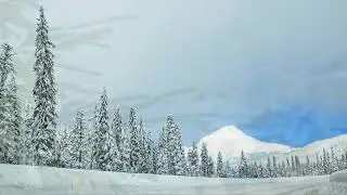 Winternachten