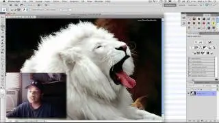 Refine Edge Tool in Photoshop CS5 (Part 1)