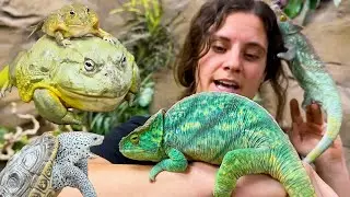 My All-Time Favorite Critters at the Reptile Zoo! 🐍🦎❤️