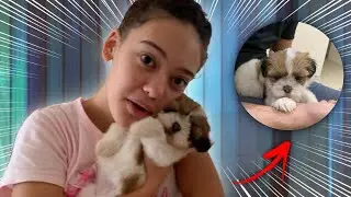 MINHA IRMÃ CONHECEU MINHA CACHORRA