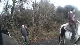 A blast in penllergaer woods!