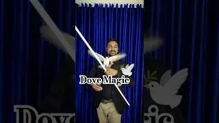 Amazing Dove Magic / Feather to Dove #Dovemagic #reelsmagic #newmagicaltrick #viralreels #magic