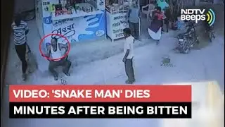 On Camera, Rajasthan's 'Snake Man' Dies Minutes After Being Bitten By A Cobra