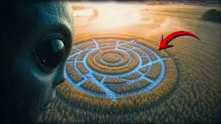 FIELDS &mdash; The Formation That Changed Shape at Dawn