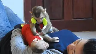 So Sweet Sister Care and Grooming Baby Monkey Ploy While He Sleep