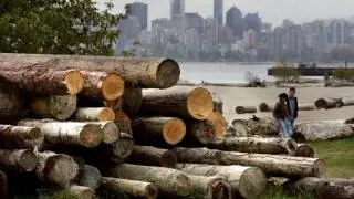 News Update Canada considers retaliation for US tariff on softwood lumber 05/05/17