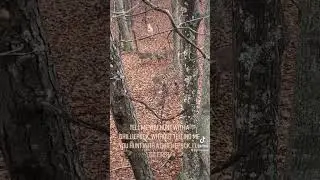 Newest Camouflage Technology #whitetailhunting #hunting #hunter #bowhunting #deerhunting #deer