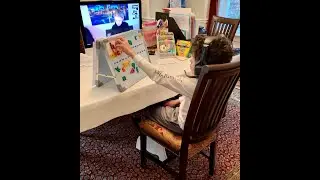 Wolf School Connected