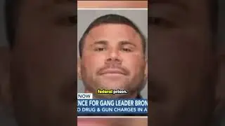 The Island's Notorious 'Murder Inc' Gets 15 Years: The Reign is Over?