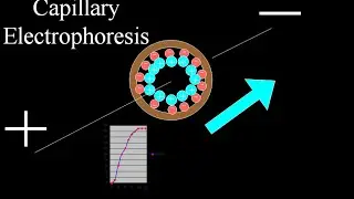 Capillary electrophoresis