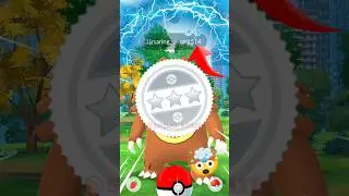 Omg!!🤯Daily incense wild full evolution 💥Ursaring in pokemon go #pokemon #soparstart #viral