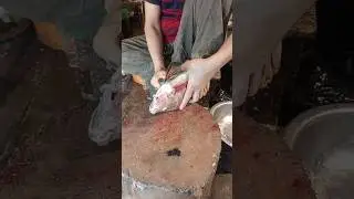 The Art Of Tilapia Fish Cutting  #fishcutting #fishpreparation