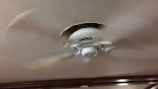 Casablanca Lanai and Minka Aire Supra Ceiling Fans - Caribbean Princess | ECFE