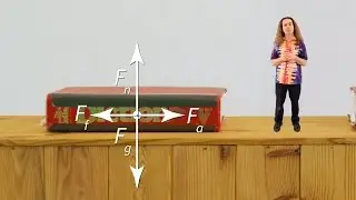 The Reality of our First Free Body Diagram