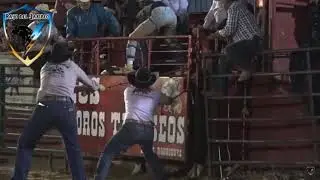 Toro el 911 de los terroristas 🆚 Ahijadodela A