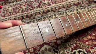 Is This Guitar Too Far Gone?