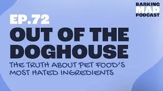 Out of the Doghouse: The Truth About Pet Food&rsquo;s Most-Hated Ingredients