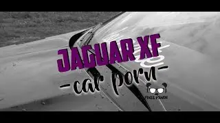 Carporn Jaguar XF by Pixel Panda Design