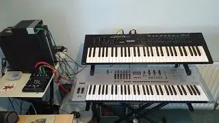 Korg Opsix SE Platinum Featuring Yamaha DX11 Left Hand Bass