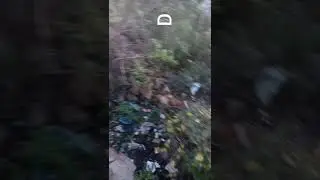 good forest #shorts #trending #viral