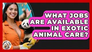 What Jobs Are Available in Exotic Animal Care? | Animal Care Jobs