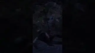 The BEST Way To Enter Legendary Animal Territory #gaming #reddead #rdr2 #funnymoments #fyp