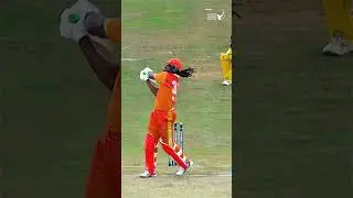 Ae Ae Ae Phasaaa!