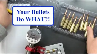 The Surprising Truth About Bullets Moving in Ammo Boxes – What You Need to Know