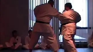 2002 Brandeis Invitational Karate & Jujitsu Seminar (Seirenkai / Kokondo & Jukido) Part 3 of 4