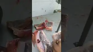 Rui fish Cutting, #fish #ruifish #rui #cuttingskills #fishcutting #shortvideo #shorts #viral #reels