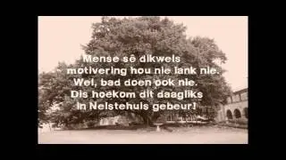 NELSTEHUIS BEMARKING 2016