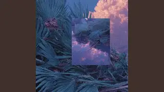 Se llevaron la palmera