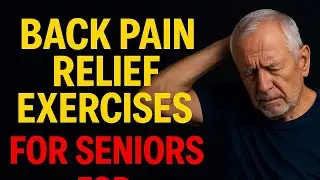 Back Pain Relief Exercises For Seniors | Back Pain Relief Exercises For Elderly