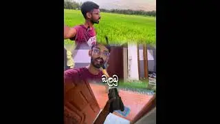 Hogwarts express Sri Lankan edition | Harry Potter ලංකාවේ හැදුව නම්  🚂🇱🇰