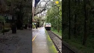 भारत की ये ट्रेन बिल्कुल FREE है 😱 | Zero Fare Train of India | Bhakra Nangal Train #bhakradam