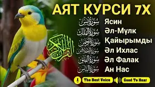 Ризық туралы алғашқы аяттар | Арш аяты, Әл-Мүлк, Ясин, Ар Рахман, Әл Ихлас, Әннас (Тарек Мухаммад)