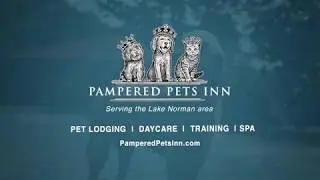 Pampered Pets Inn
