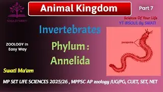 Phylum Annelida : Invertebrate | Animal Kingdom ZOOLOGY | MPSET LS, CUET MP Assistant Professor 2026